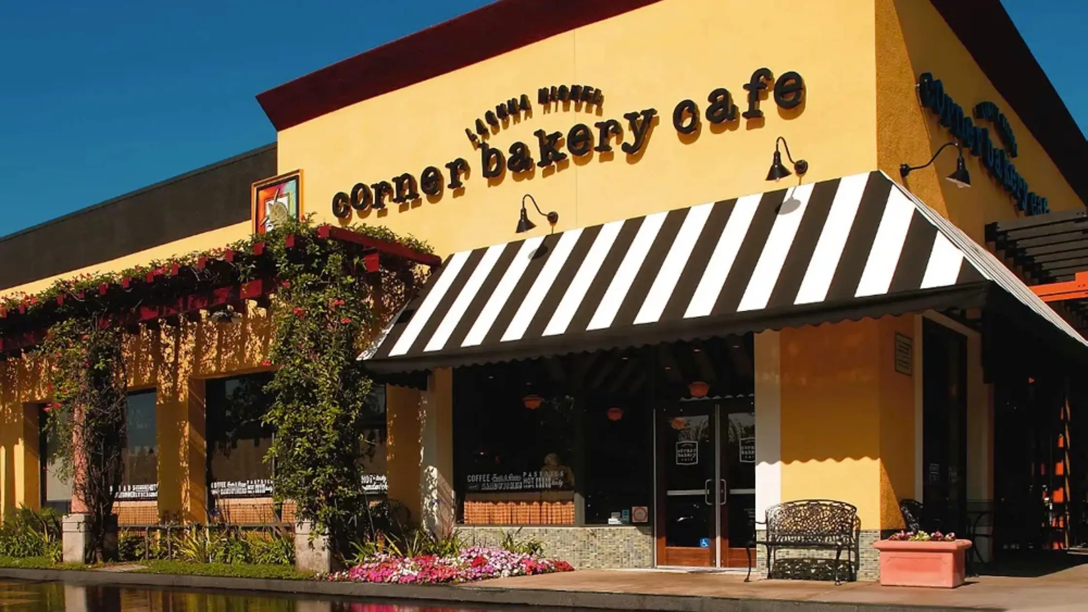 Corner Bakery Cafe Menu With Prices
