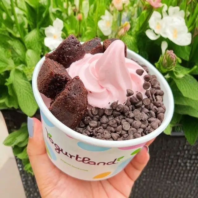 Yogurtland Menu And Prices