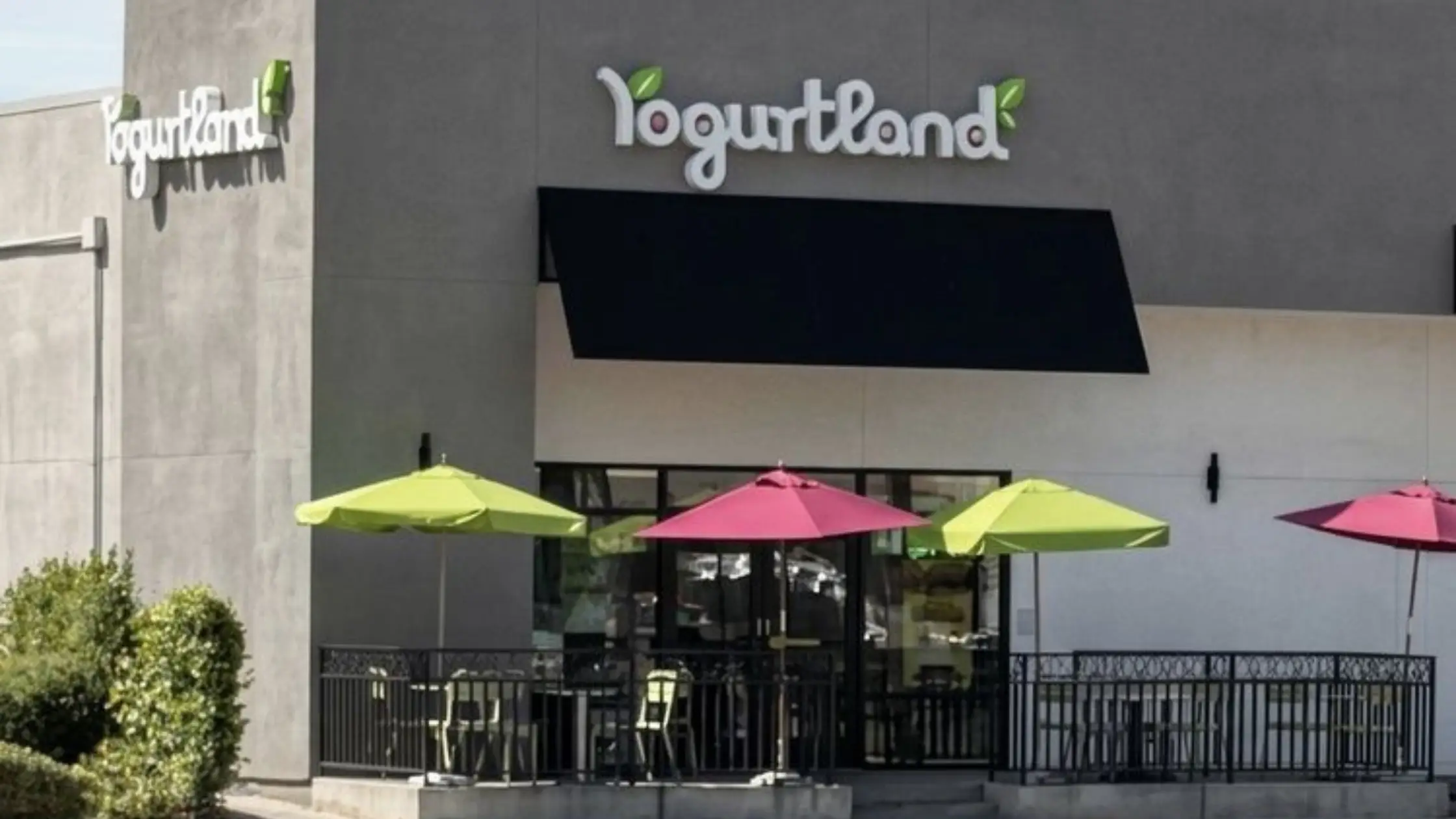 Yogurtland Menu With Prices